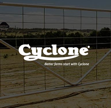 Cyclone